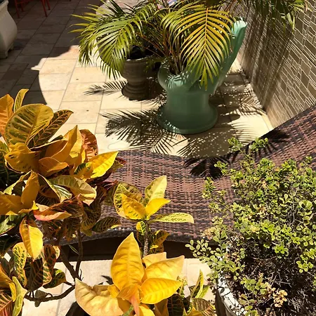 Pousada Residência dos Sonhos-2